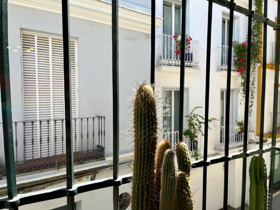 Apartamento Suite Alameda De Hercules Sevilla Exterior foto